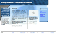 Tablet Screenshot of genexpression.info